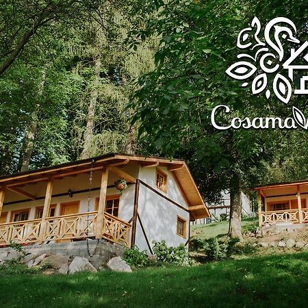 Cosama Village Sighisoara Exterior photo